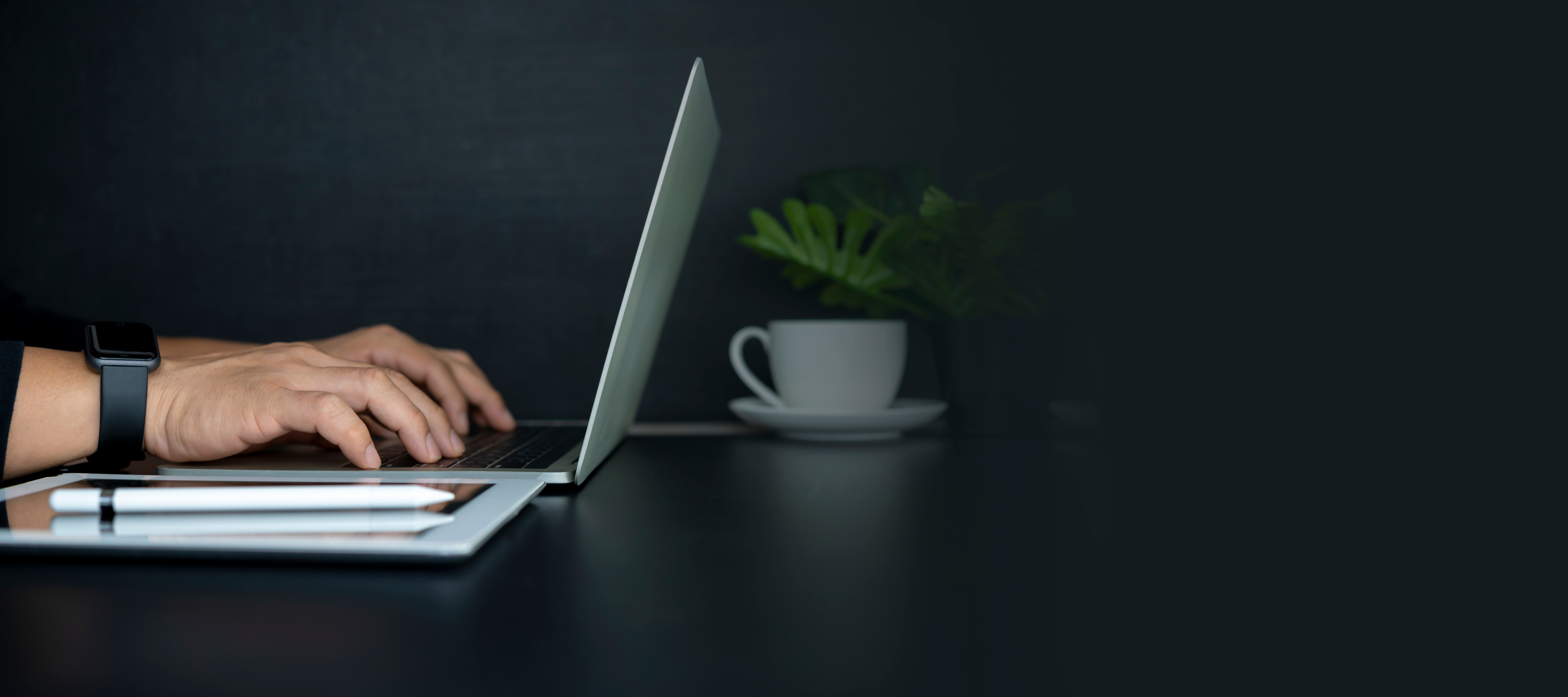 Professional link building workspace