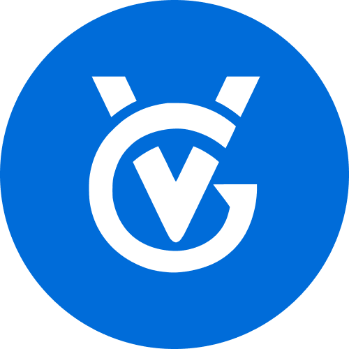 VefoGix Logo Icon